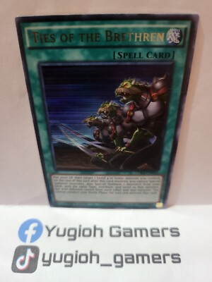 Yu-Gi-Oh Ties Of The Brethren LDK2 1st Edition Ultra Rare Light Played 