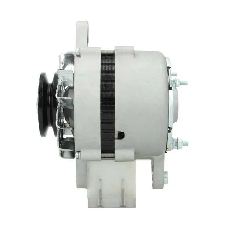 Bv Psh Alternatore 695.002.035.050 - Immagine 3