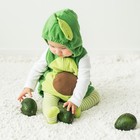 Carter's  3 Piece  Unisex Baby  Little Avocado Halloween Costume Set  24 Months