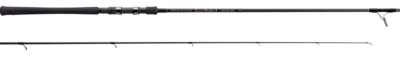 Tenryu POWER MASTER Sand Walker PMS1032S-MLM Spinnrute 10,3ft 2-teilig NEU