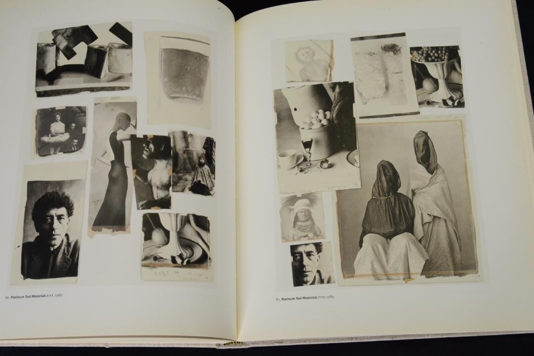 【Irving Penn：Platinum Prints】★大幅に値下げしました Irving Penn Platinum Prints / Irving Penn アーヴィング・ペン