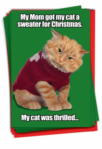 B2545XSG Set of 12 Cat Sweater Unique Funny Christmas Cards with Envelopes