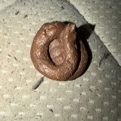 PREMIUM Fake Dog Poop Doggie Poo Realistic Doggy Doo Doo Dirt Joke Gag Crap Pile