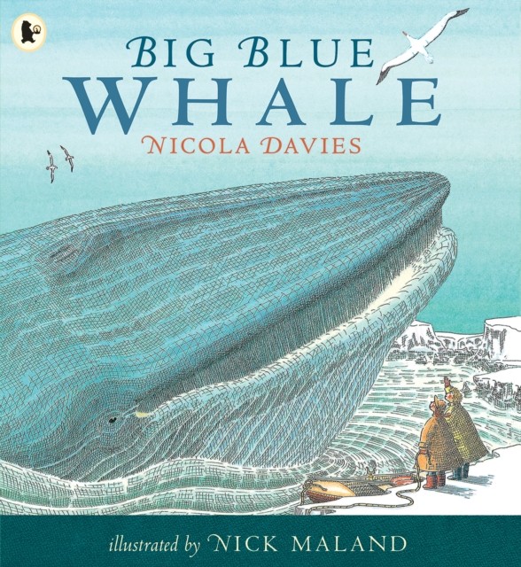 Big Blue Whale by Nicola Davies (Paperback Book)