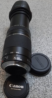 Canon EF 75-300mm f/4-5.6 III USM Ultrasonic Teleobjektiv für - Canon EOS DSLR