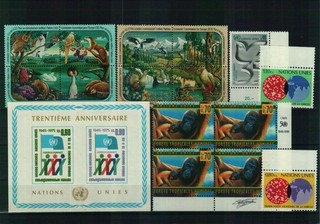 Vereinte Nationen Briefmarken 1 Steckkarte postfrisch
