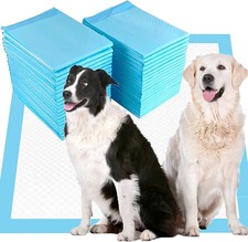 Extra Large Puppy Pads,36"x36" Pee Pads for Dogs,40 Count Training Dog Pee Pad