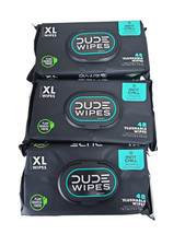 Dude Wipes XL, Flushable Wipes Vitamin-E Aloe, Cool Mint, 288 Count 6 Pack
