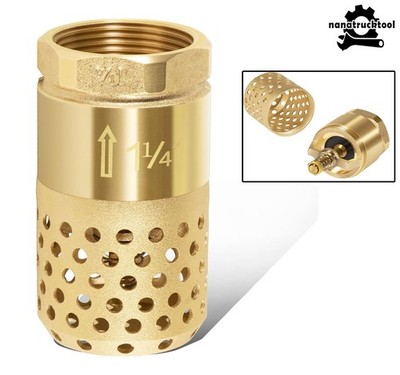 For Well Pump Foot Valve 1-1/4'' Female NPT Check Valve Strainer 0.18'' Dia Holes