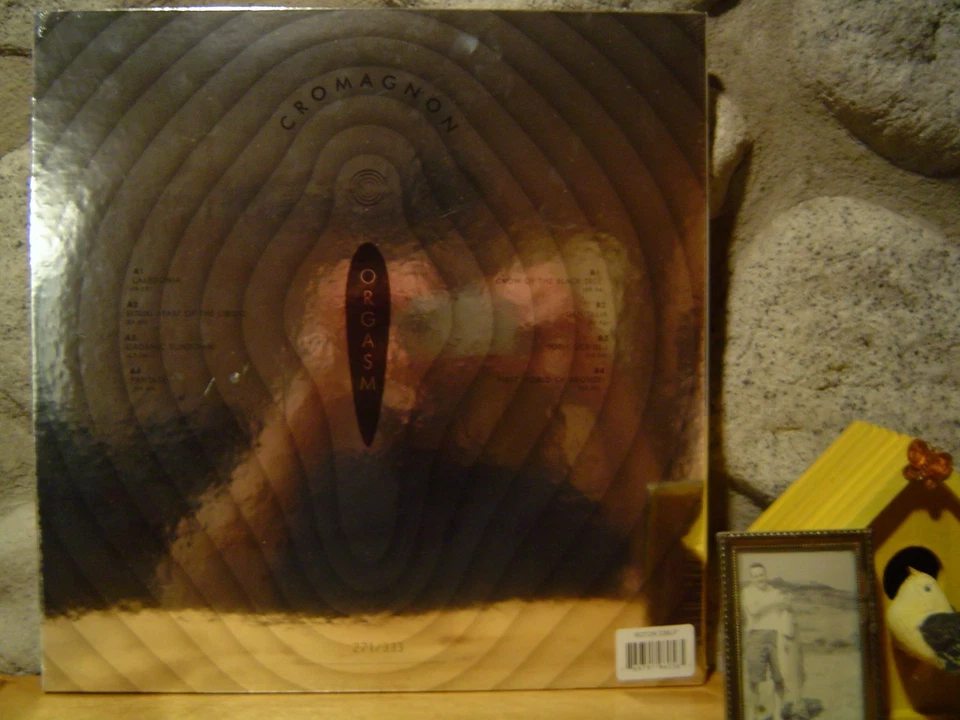 CROMAGNON Orgasm LP/1969 US/ESP Disk/Acid Damage Freakout Psych/Acid Archives - Image 2 of 2
