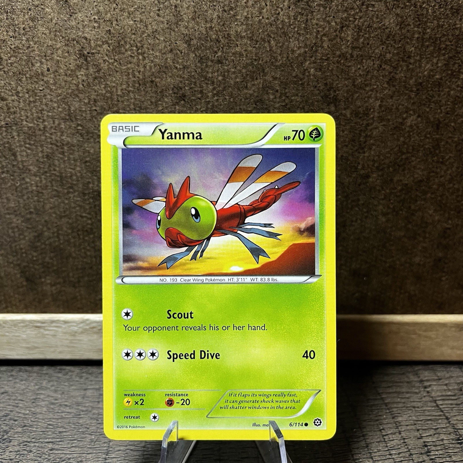 Yanma - Steam Siege - 6/114 - Pokemon