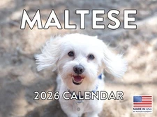 Maltese Calendar 2026 Monthly Wall Calender 12 Month
