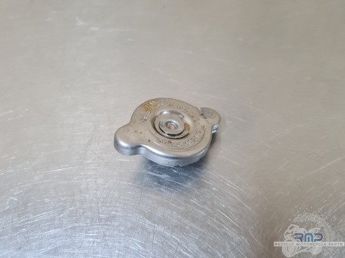 Kühlerdeckel BMW F900R 2019 bis 2026