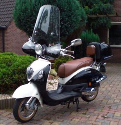 Getint Windschild voor Retro Scooter - THS Scooter Parts Breda