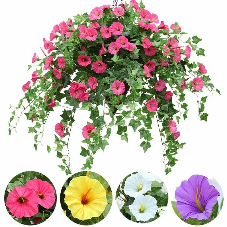 Hanging Silk Morning Glory Flower Vine for Home Decor