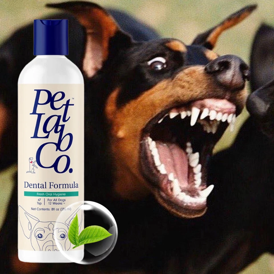 Petlab Pet Lab Co 狗牙科配方水添加剂新鲜呼吸清洁牙齿 8 盎司 — 第 3/4 张图片