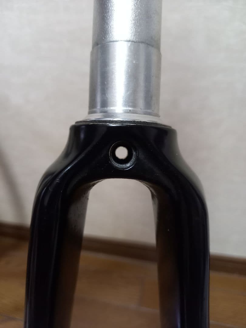 アルピナ　Alpina Full Carbon Road Fork　ピスト Alpina Alpina Full Carbon Road Fork Piste | eBay
