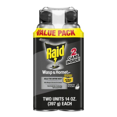 Raid Wasp Hornet Killer Spray Bug Killer Kills the Entire Nest 14 Oz (Pack of 2)