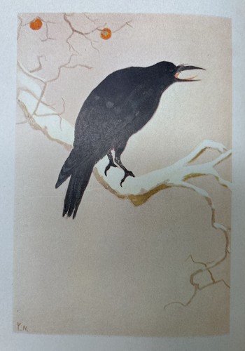 Mimei Ogawa, Myrtle B McKenney / Rose & Witch and Other Stories 1st Edition 1925 - Picture 6 of 11