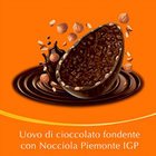 Foto 2 di 6