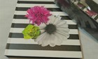 Bild 2 von 8