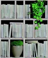 Bookshelves Wallpaper Bookshelves Wallpaper