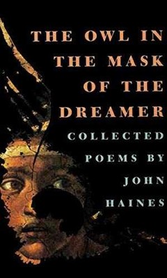 The Owl in the Mask of the Dreamer: - Paperback, by Haines John - Very Good