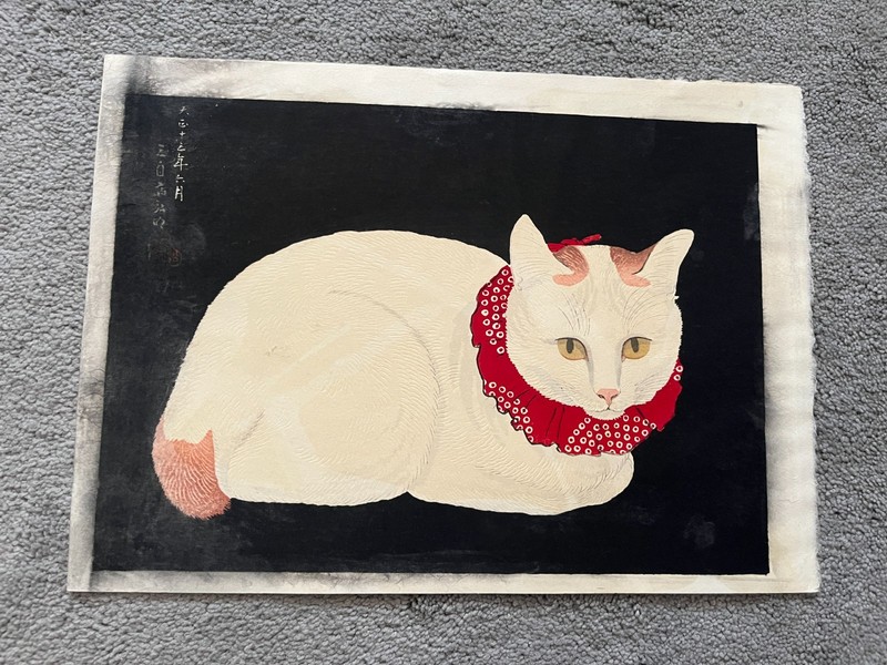 Rare Japanese woodblock print of a cat by Takahshi Hiroaki - Shotei - AS IS