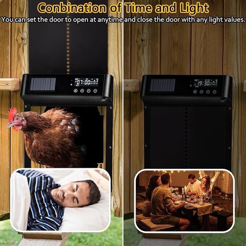 LEMBERI Porta Pollaio Automatico, Porta Pollaio ad Energia Solare - Foto 5 di 7