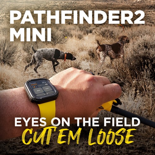 Dogtra PATHFINDER2 Mini Dog Collar Receiver Tracking and Training E-Fence GPS - 第 9/10 張圖片