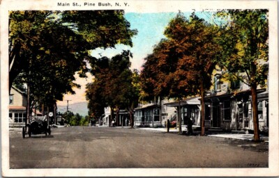 Pine Bush NY Main Street c1920s Auto Businesses Trees WB postcard IP4