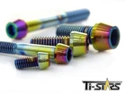 Allen Bolt M6 Screw Stainless steel Taper Socket Cap Hex Rainbow Tistars x1