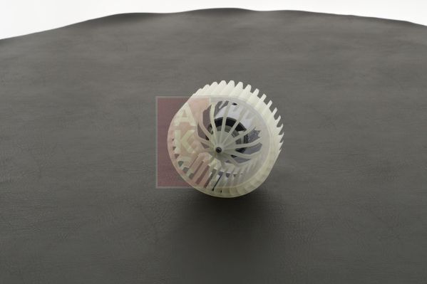 Bild 1 von 1