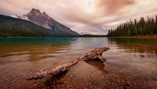 Landscape nature water clouds canada lake dead trees Custom Gaming Mat Desk