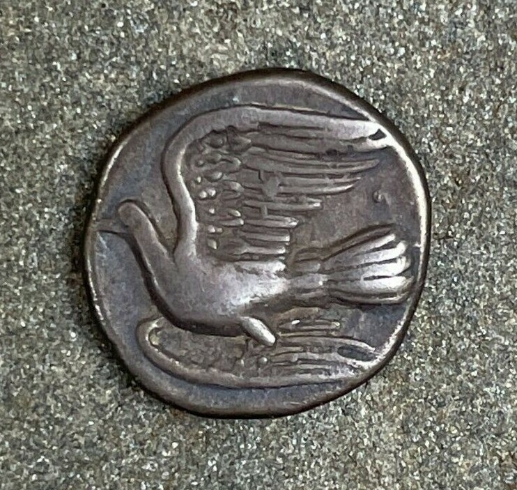 Picture 3 of 6