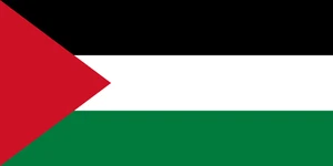 Palestine Flag Self Adhesive Vinyl Sticker