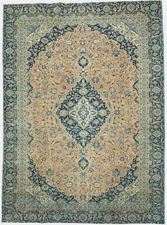 Antique Distressed Vintage Oriental Rug Muted Floral Classic Carpet 9X12 ft