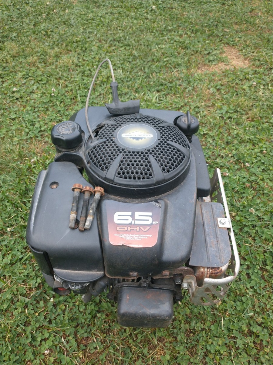 Briggs Stratton 120602-0164-E1 Engine Powerful Motor Horse Power W/  Bolts