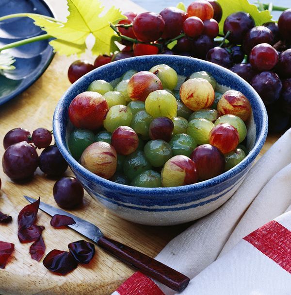 50 Mixed Grape Seeds Vitis Vinifera Fruit Seed | eBay