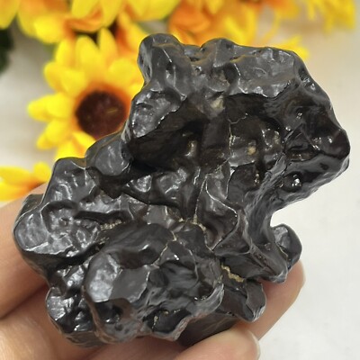 120G Natural stone egypt desert stone black king kong Pinecone Prophecy stone