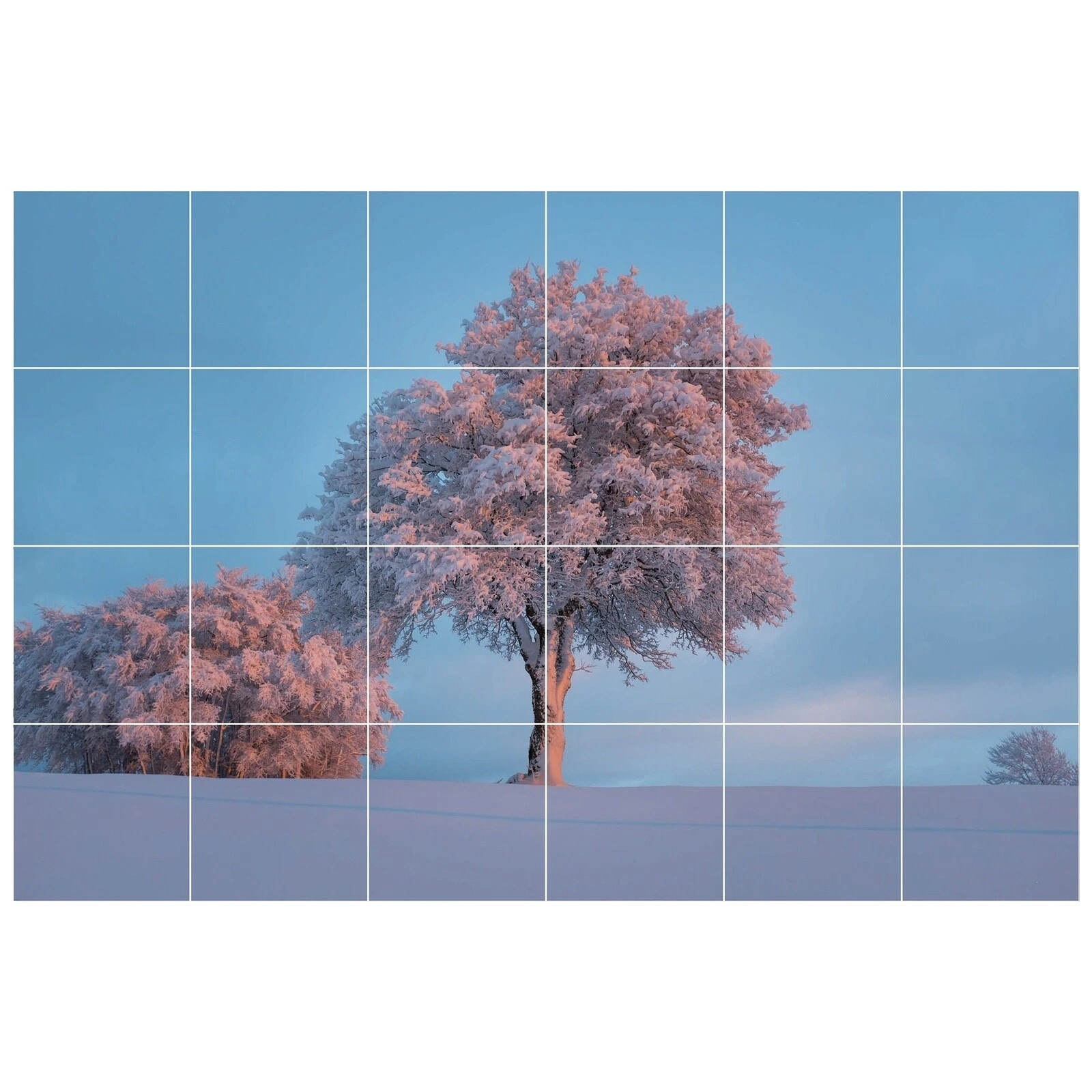 Ceramic Contemporary Floor & Wall Tiles