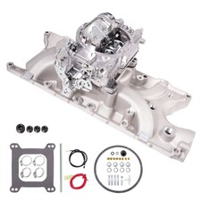 Street Warrior Intake Manifold 289-302 4 Barrel Carburetor Fit Ford Small Block