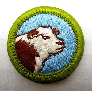Boy Scout Merit Badge Type H Plastic Back Animal Science Ebay