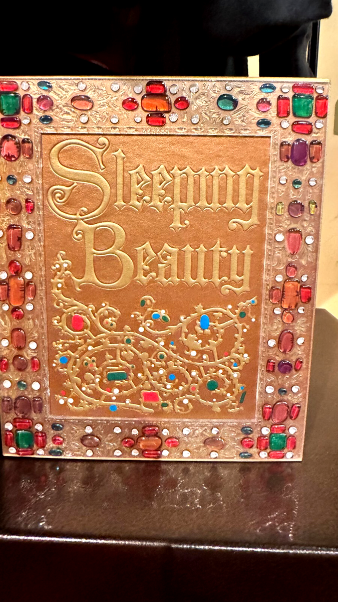 Disney Parks Sleeping Beauty Storybook Style Journal Blank Book