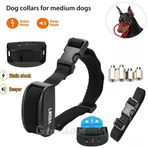 tone collar for dogs