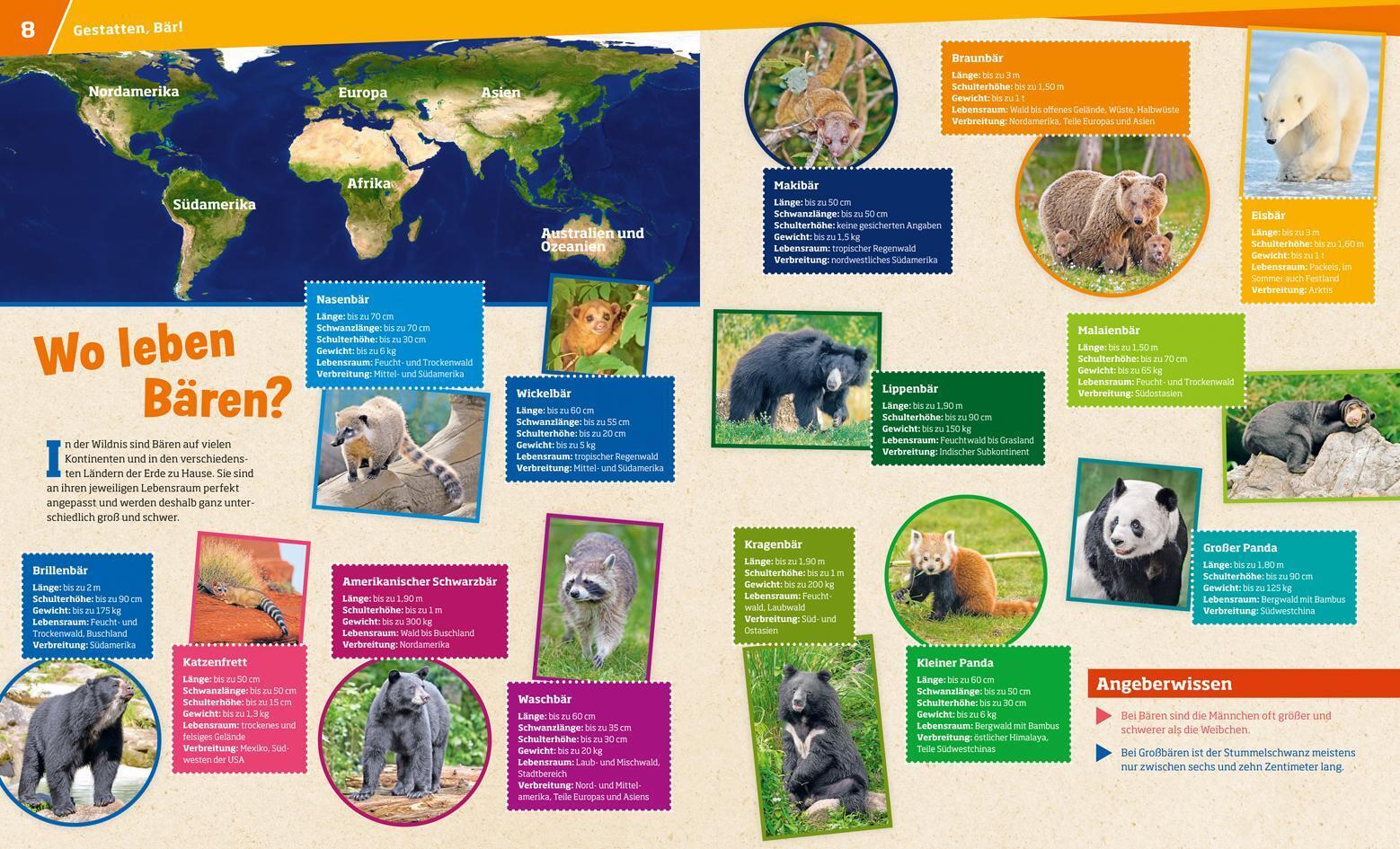 Thumbnail - Was Ist Was Band 115 Bären. Grizzly, Panda, Eisbär | Alexandra Mayer |