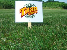 Titan ULTRA Tall Fescue Grass Seed (Certified) - 10 Lbs.