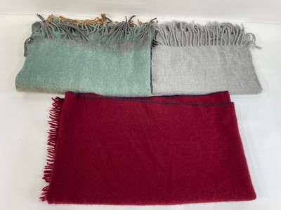 Lot of 3 - Assorted Women's Scarves: Different Brands, Colors, Sizes