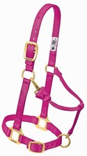 Weaver Original Non-Adjustable Halter Raspberry Horse Average Size New With Tag