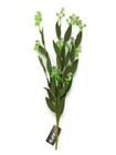 Artificial Wild Meadow Seed Stem x 48cm - Foliage Greenery Leaves Arrangement